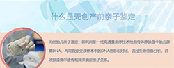 南京孕期亲子鉴定准不准,南京孕期亲子鉴定中心在哪 南京孕期亲子鉴定准不准,南京孕期亲子鉴定中心在哪