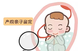 怀孕几个月南京怎么做胎儿亲子鉴定,南京做怀孕亲子鉴定准确率高吗 怀孕几个月南京怎么做胎儿亲子鉴定,南京做怀孕亲子鉴定准确率高吗